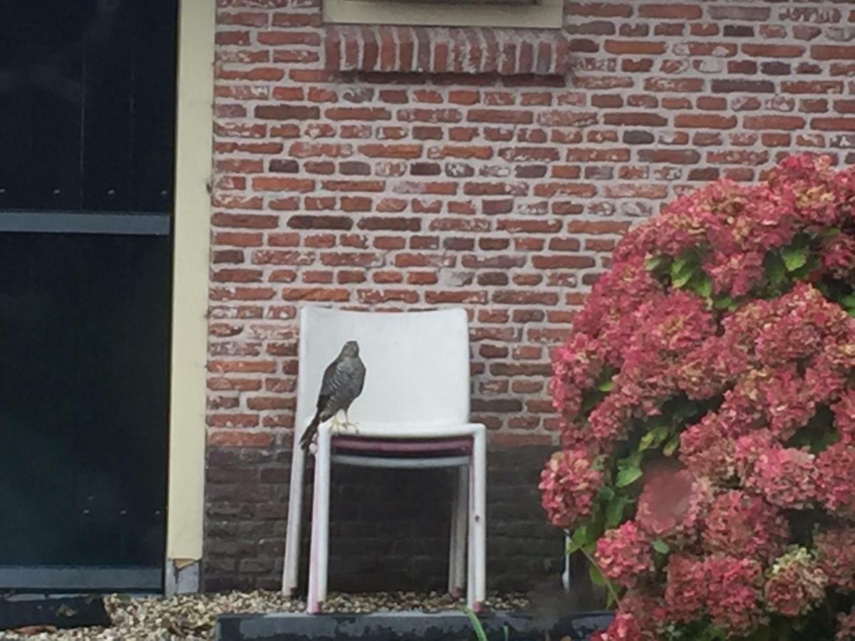 Groeten Uit - Rural *
