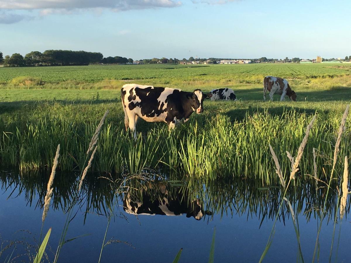 Groeten Uit - Rural * Hoogmade
